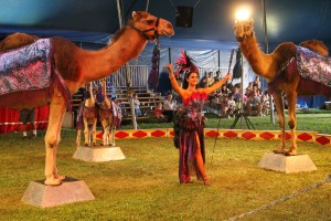 Walker Brothers Circus, Lehighton, 6-22-2014 (117)