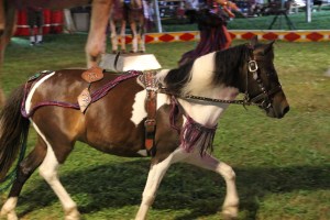 Walker Brothers Circus, Lehighton, 6-22-2014 (123)