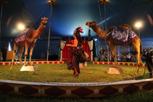 Walker Brothers Circus, Lehighton, 6-22-2014 (126)