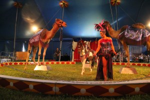 Walker Brothers Circus, Lehighton, 6-22-2014 (130)