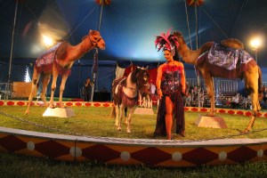 Walker Brothers Circus, Lehighton, 6-22-2014 (131)