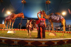 Walker Brothers Circus, Lehighton, 6-22-2014 (132)