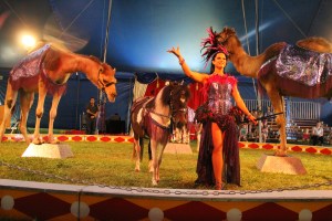 Walker Brothers Circus, Lehighton, 6-22-2014 (134)