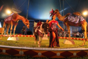Walker Brothers Circus, Lehighton, 6-22-2014 (135)