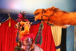 Walker Brothers Circus, Lehighton, 6-22-2014 (144)