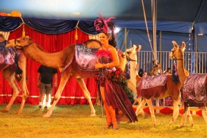 Walker Brothers Circus, Lehighton, 6-22-2014 (167)