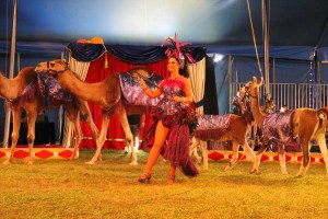 Walker Brothers Circus, Lehighton, 6-22-2014 (169)