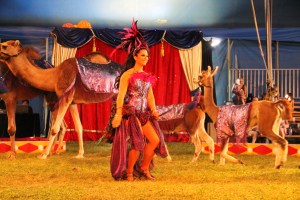 Walker Brothers Circus, Lehighton, 6-22-2014 (171)