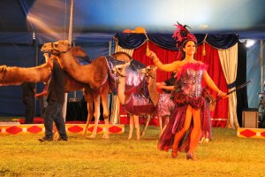 Walker Brothers Circus, Lehighton, 6-22-2014 (177)