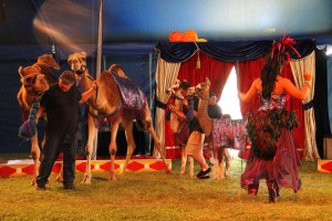 Walker Brothers Circus, Lehighton, 6-22-2014 (181)
