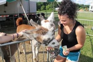 Walker Brothers Circus, Lehighton, 6-22-2014 (29)