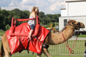 Walker Brothers Circus, Lehighton, 6-22-2014 (30)
