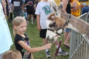 Walker Brothers Circus, Lehighton, 6-22-2014 (5)
