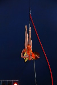 Walker Brothers Circus, Lehighton, 6-22-2014 (54)