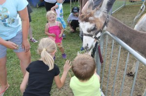 Walker Brothers Circus, Lehighton, 6-22-2014 (6)