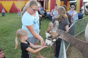 Walker Brothers Circus, Lehighton, 6-22-2014 (7)