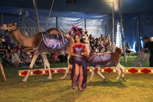 Walker Brothers Circus, Lehighton, 6-22-2014 (90)