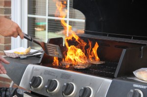 West Penn Community Festival to benefit WP Fire Company, Mauch Chunk Trust, West Penn (63)