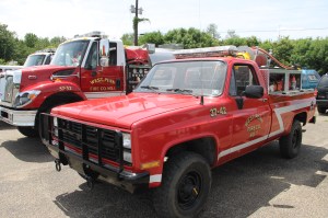 West Penn Community Festival to benefit WP Fire Company, Mauch Chunk Trust, West Penn (8)