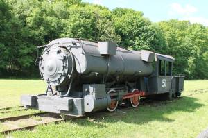 Zoostock 5K Run, Walk, from John Martino, Lansford, 5-31-2014 (34)