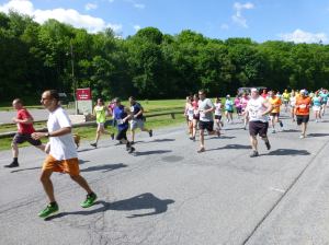 Zoostock 5K Run, Walk, The Sports Zoo, Lansford, 5-31-2014 (40)