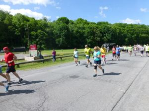 Zoostock 5K Run, Walk, The Sports Zoo, Lansford, 5-31-2014 (44)