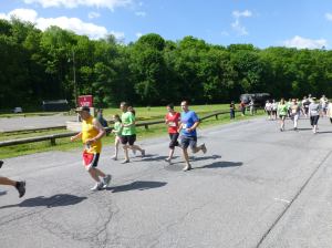 Zoostock 5K Run, Walk, The Sports Zoo, Lansford, 5-31-2014 (46)