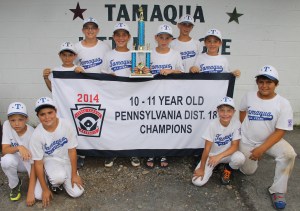10-11 Year Old PA Dist 18 Champs, Parade, Little League, Tamaqua, 7-13-2014 (6)