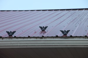 Block Party, Carnival, Ryan Township Fire and Rescue Company, Barnesville, 6-7-2014 (141)