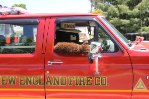Double Truck Housing Parade, Middleport Fire Company, Middleport, 6-7-2014 (157)