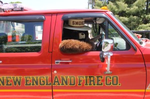 Double Truck Housing Parade, Middleport Fire Company, Middleport, 6-7-2014 (158)