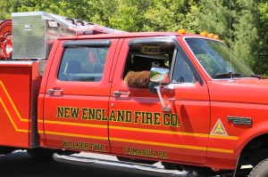 Double Truck Housing Parade, Middleport Fire Company, Middleport, 6-7-2014 (310)