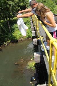 Duck Race, New Ringgold Fire Company, New Ringgold, 7-26-2014 (14)