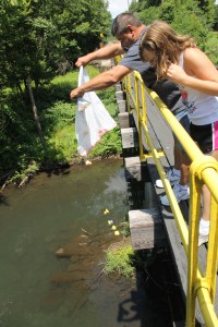 Duck Race, New Ringgold Fire Company, New Ringgold, 7-26-2014 (15)