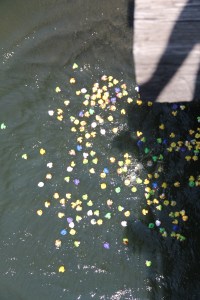 Duck Race, New Ringgold Fire Company, New Ringgold, 7-26-2014 (18)