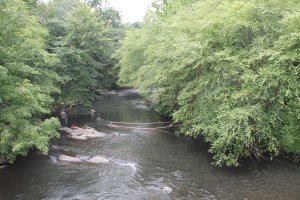 Duck Race, New Ringgold Fire Company, New Ringgold, 7-26-2014 (37)