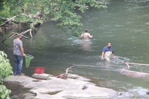 Duck Race, New Ringgold Fire Company, New Ringgold, 7-26-2014 (38)