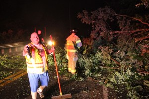 Fallen Tree, intersection of Holly Road, Pine Creek Drive, Barnesville, 7-14-2014 (10)