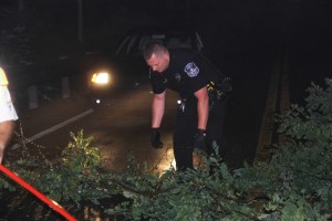 Fallen Tree, intersection of Holly Road, Pine Creek Drive, Barnesville, 7-14-2014 (18)