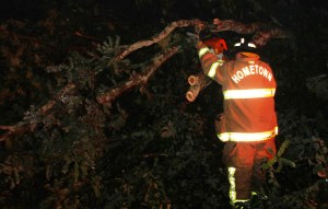 Fallen Tree, intersection of Holly Road, Pine Creek Drive, Barnesville, 7-14-2014 (22)