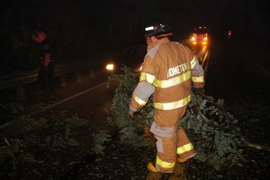 Fallen Tree, intersection of Holly Road, Pine Creek Drive, Barnesville, 7-14-2014 (23)