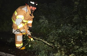 Fallen Tree, intersection of Holly Road, Pine Creek Drive, Barnesville, 7-14-2014 (26)