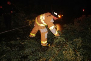 Fallen Tree, intersection of Holly Road, Pine Creek Drive, Barnesville, 7-14-2014 (3)