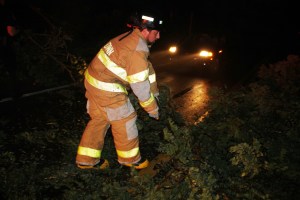 Fallen Tree, intersection of Holly Road, Pine Creek Drive, Barnesville, 7-14-2014 (4)
