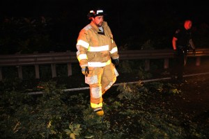 Fallen Tree, intersection of Holly Road, Pine Creek Drive, Barnesville, 7-14-2014 (6)