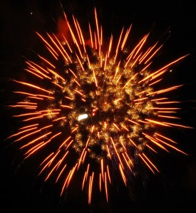 Fireworks Celebration, Sports Field, MAHS, Mahanoy City, 7-5-2014 (118)