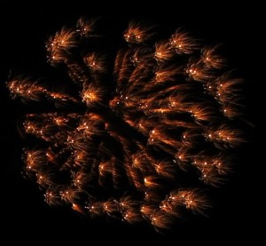 Fireworks Display, 80th Anniversary, St. Joseph's Parish Festival, Summit Hill, 7-20-2014 (6)