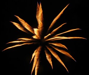 Fireworks Display, Port Carbon, 7-4-2014 (145)