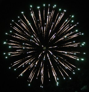 Fireworks Display, Port Carbon, 7-4-2014 (318)