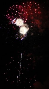 Fireworks Display, Port Carbon, 7-4-2014 (343)
